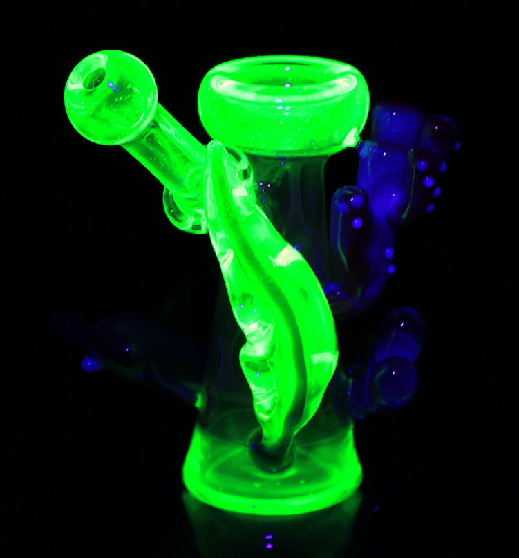 Glow in the dark sea life dry pipe by, Burtoni