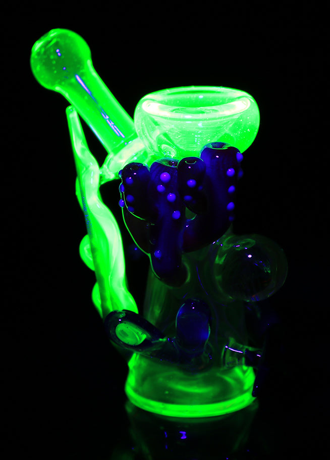 Glow in the dark sea life dry pipe by, Burtoni