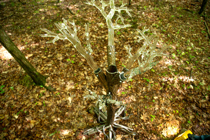 Tree of Fulgurite #1