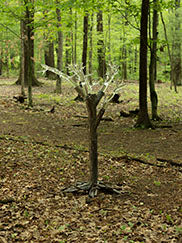 Tree of Fulgurite #1
