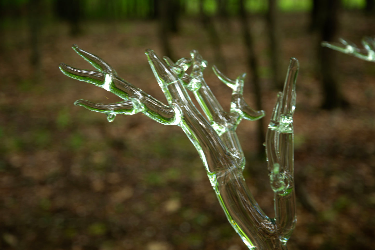 Tree of Fulgurite #1