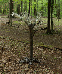 Tree of Fulgurite #1