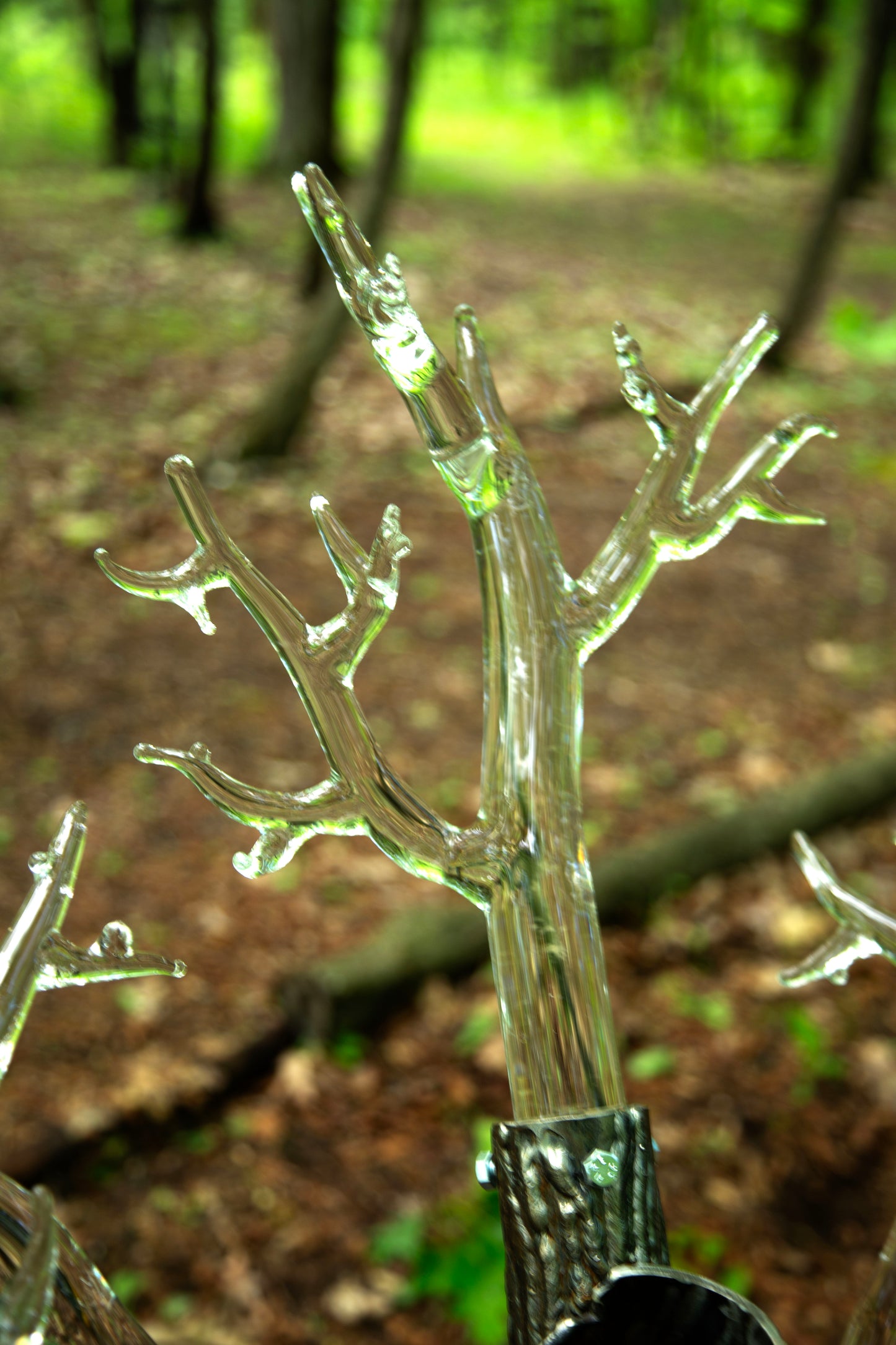Tree of Fulgurite #1
