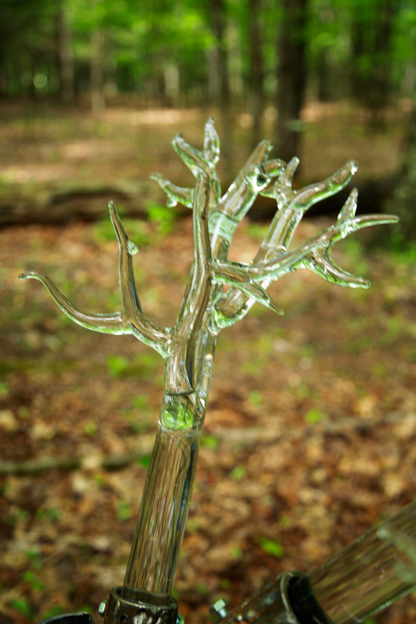 Tree of Fulgurite #1