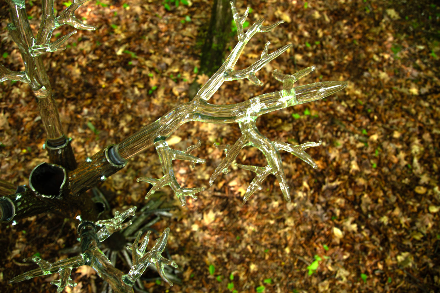 Tree of Fulgurite #1