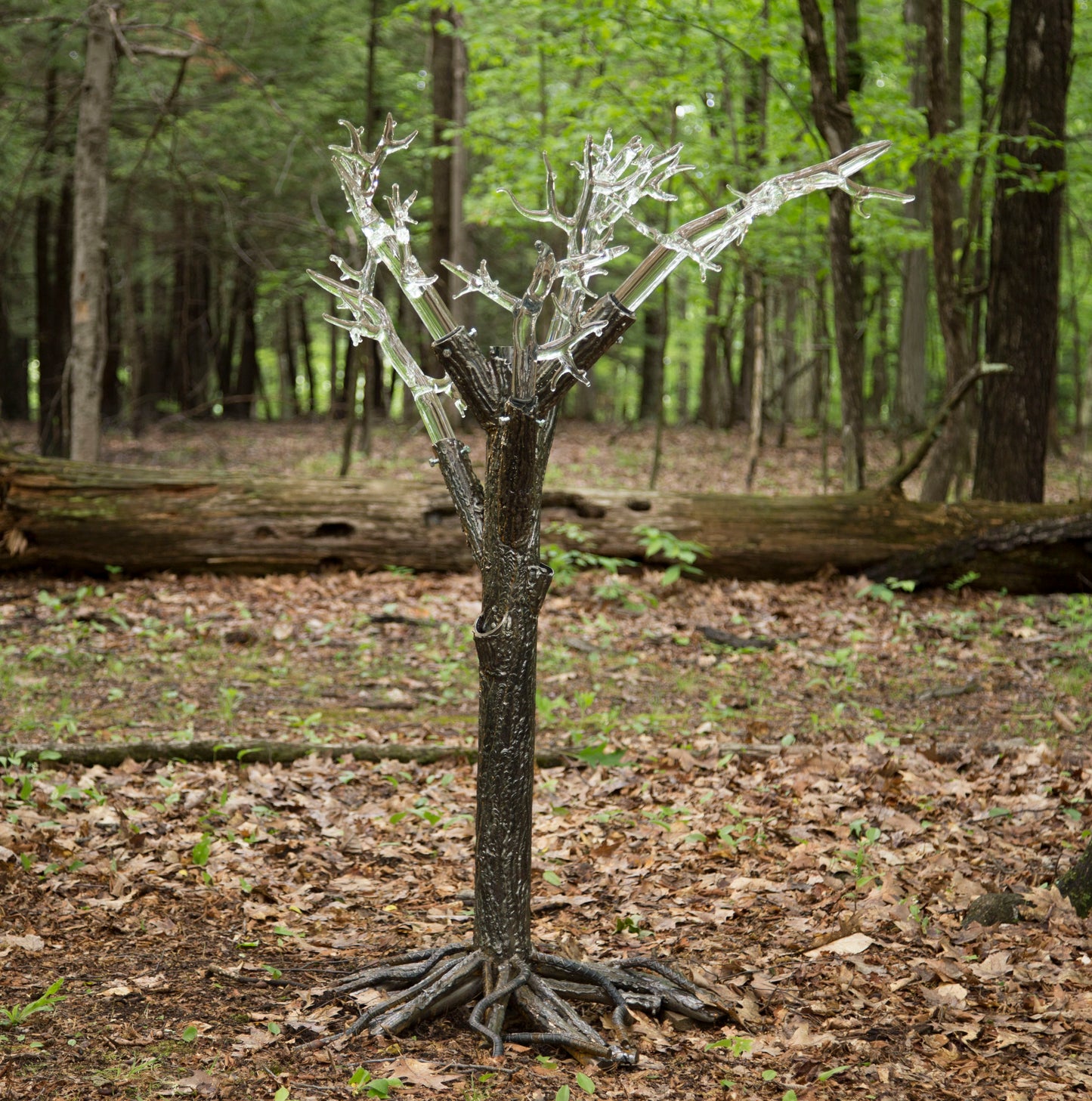 Tree of Fulgurite #1