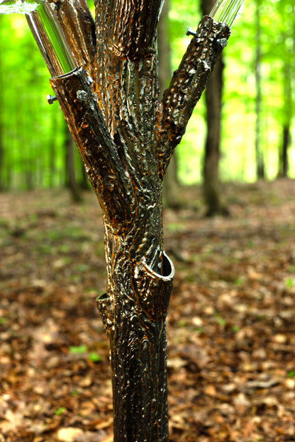 Tree of Fulgurite #1