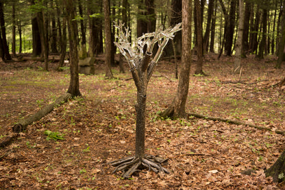 Tree of Fulgurite #1