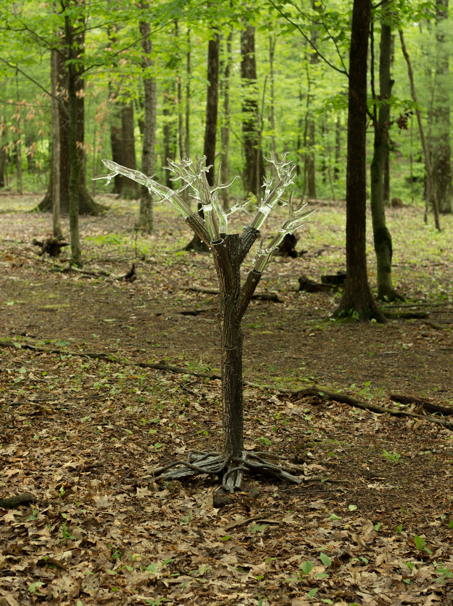 Tree of Fulgurite #1