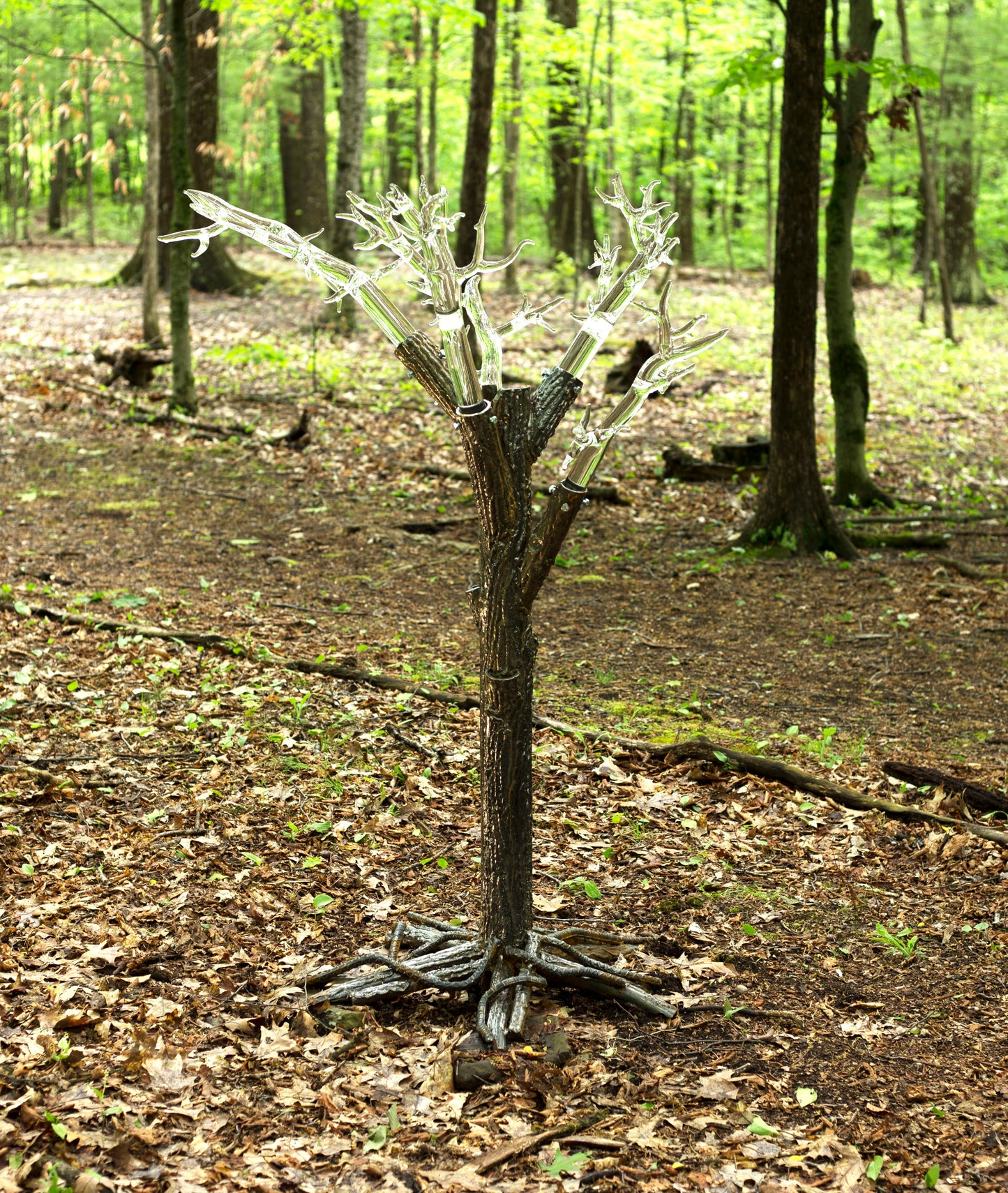 Tree of Fulgurite #1
