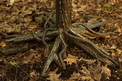 Tree of Fulgurite #1
