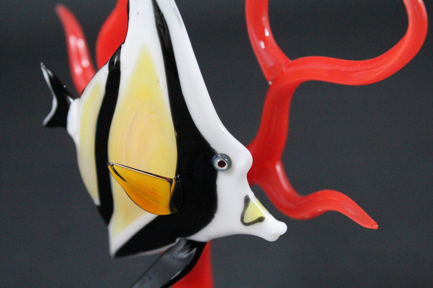 Angelfish on Coral by Robert Mickelsen
