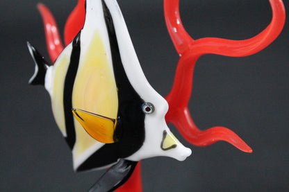 Angelfish on Coral by Robert Mickelsen
